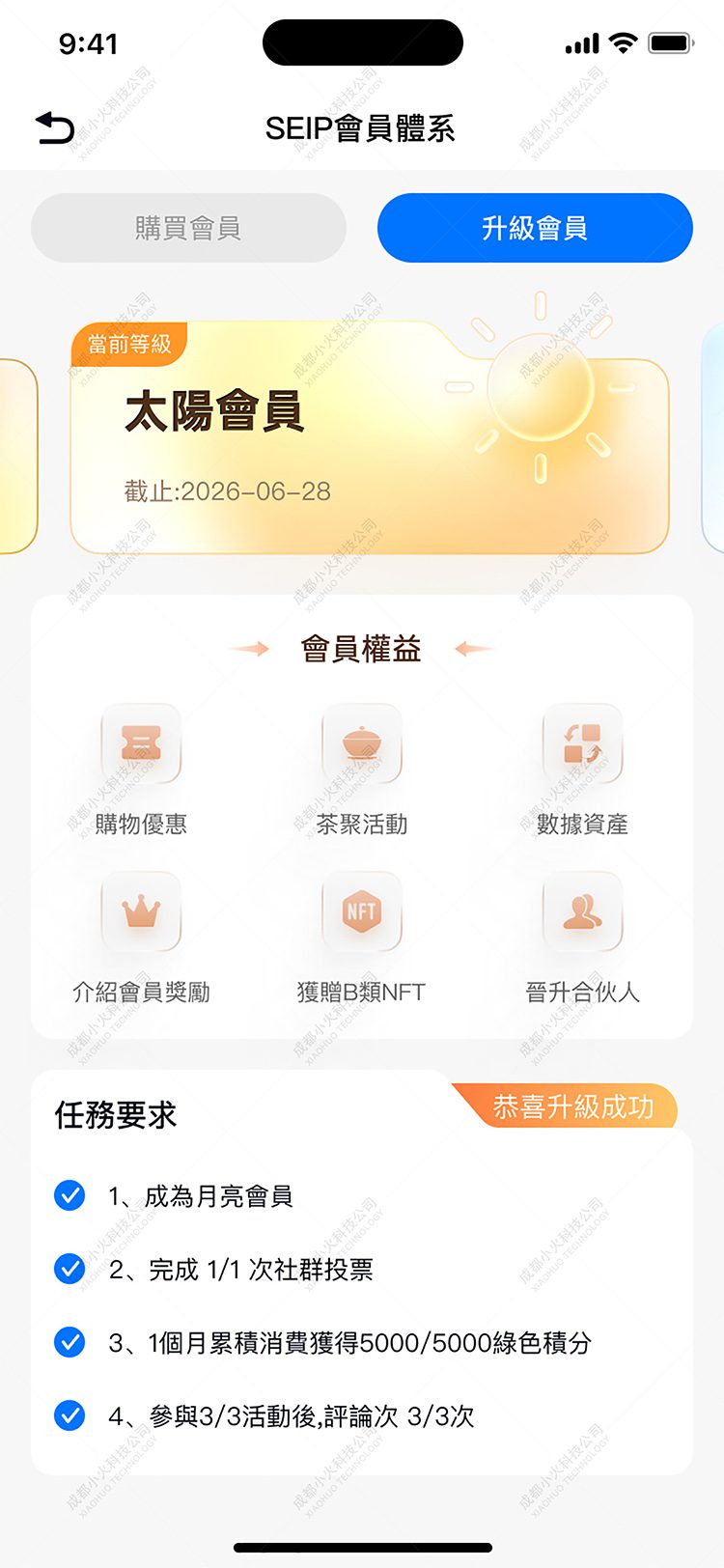 NFT軟件開發